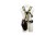 kosa-spalinowa-nac-bp454-16ka-ls.jpg