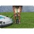 ponton-hydro-force-adventure_53302.jpg
